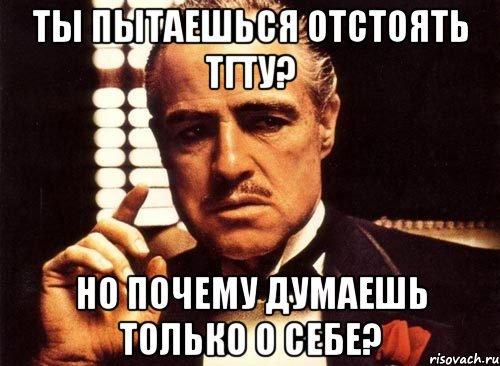 ты пытаешься отстоять тгту? но почему думаешь только о себе?, Мем крестный отец