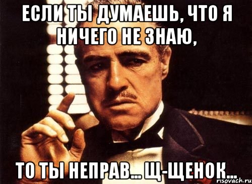 если ты думаешь, что я ничего не знаю, то ты неправ... щ-щенок..., Мем крестный отец