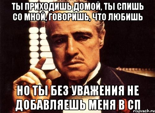 ты приходишь домой, ты спишь со мной, говоришь, что любишь но ты без уважения не добавляешь меня в сп, Мем крестный отец