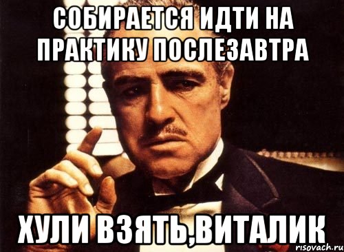 собирается идти на практику послезавтра хули взять,виталик, Мем крестный отец