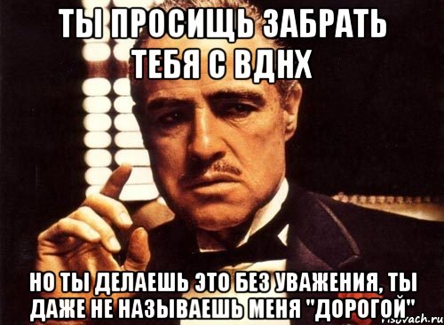 ты просищь забрать тебя с вднх но ты делаешь это без уважения, ты даже не называешь меня "дорогой", Мем крестный отец