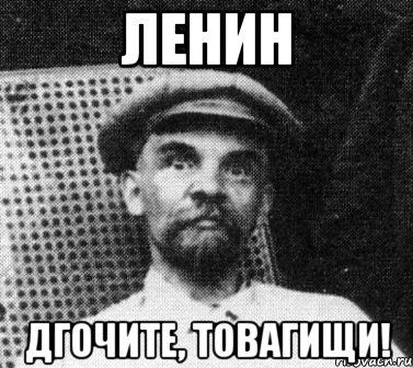 ленин дгочите, товагищи!, Мем   Ленин удивлен