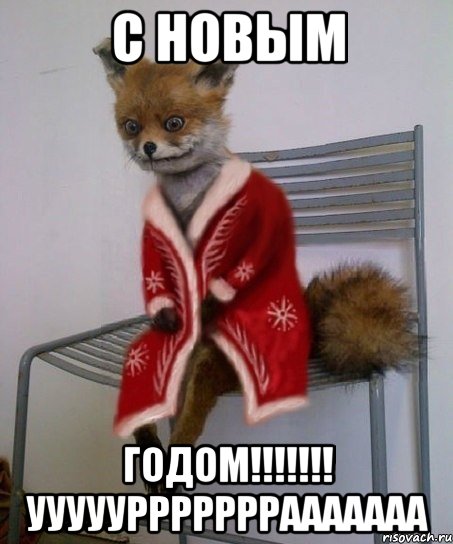 с новым годом!!! ууууурррррррааааааа