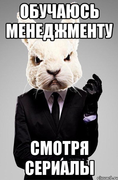 обучаюсь менеджменту смотря сериалы, Мем Менеджер