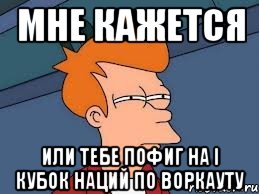 мне кажется или тебе пофиг на i кубок наций по воркауту, Мем  Фрай (мне кажется или)