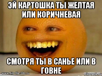 эй картошка ты желтая или коричневая смотря ты в санье или в говне, Мем Надоедливый апельсин