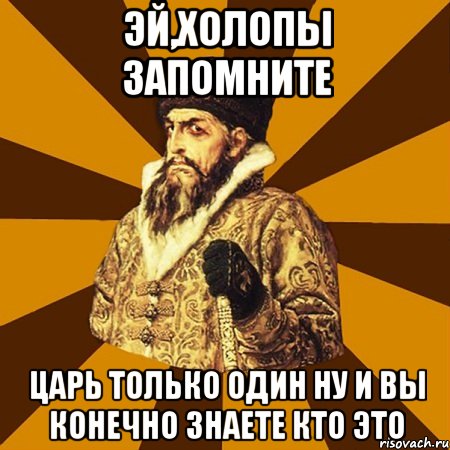 эй,холопы запомните царь только один ну и вы конечно знаете кто это, Мем Не царское это дело