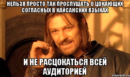 нельзя просто так прослушать о цокающих согласных в кайсанских языках и не расцокаться всей аудиторией, Мем Нельзя просто так взять и (Боромир мем)