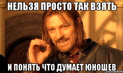 нельзя просто так взять и понять что думает юношев, Мем Нельзя просто так взять и (Боромир мем)