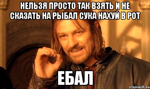 нельзя просто так взять и не сказать на рыбал сука нахуй в рот ебал, Мем Нельзя просто так взять и (Боромир мем)