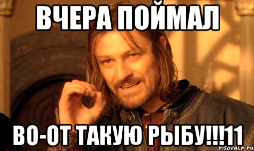 вчера поймал во-от такую рыбу!!!11, Мем Нельзя просто так взять и (Боромир мем)