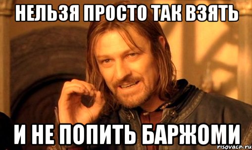 нельзя просто так взять и не попить баржоми, Мем Нельзя просто так взять и (Боромир мем)