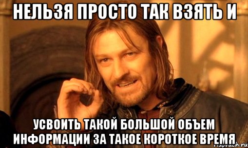 нельзя просто так взять и усвоить такой большой объем информации за такое короткое время, Мем Нельзя просто так взять и (Боромир мем)