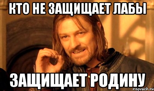 кто не защищает лабы защищает родину, Мем Нельзя просто так взять и (Боромир мем)