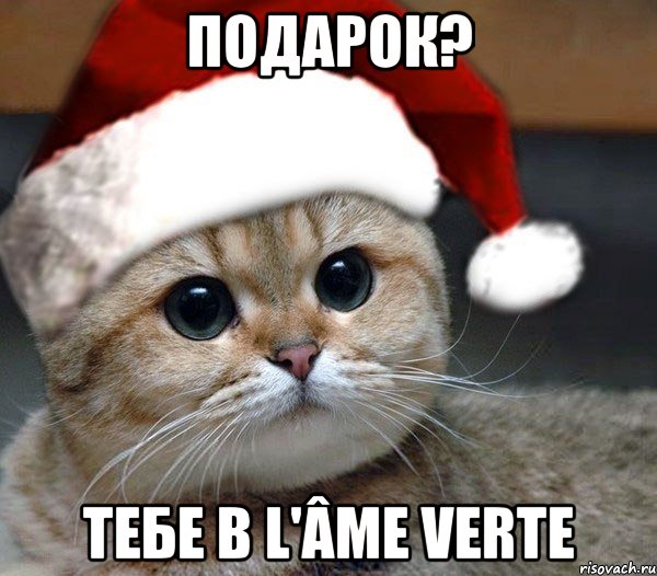 подарок? тебе в l'âme verte