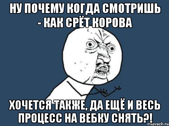 ну почему когда смотришь - как срёт корова хочется также, да ещё и весь процесс на вебку снять?!, Мем Ну почему