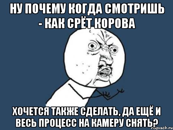 ну почему когда смотришь - как срёт корова хочется также сделать, да ещё и весь процесс на камеру снять?, Мем Ну почему