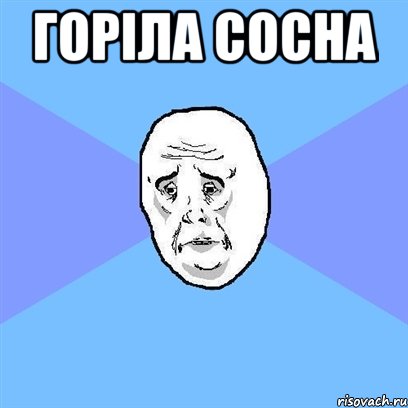 горіла сосна , Мем Okay face