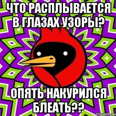 что расплывается в глазах узоры? опять накурился блеать??, Мем Омская птица