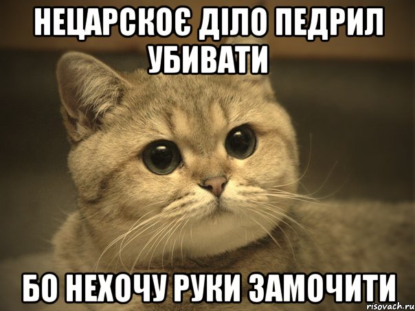 нецарскоє діло педрил убивати бо нехочу руки замочити, Мем Пидрила ебаная котик