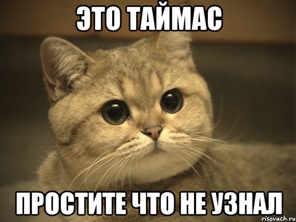 это таймас простите что не узнал