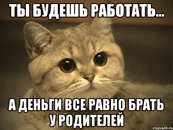 ты будешь работать... а деньги все равно брать у родителей, Мем Пидрила ебаная котик