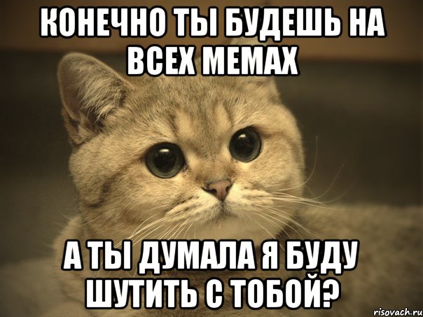 конечно ты будешь на всех мемах а ты думала я буду шутить с тобой?, Мем Пидрила ебаная котик