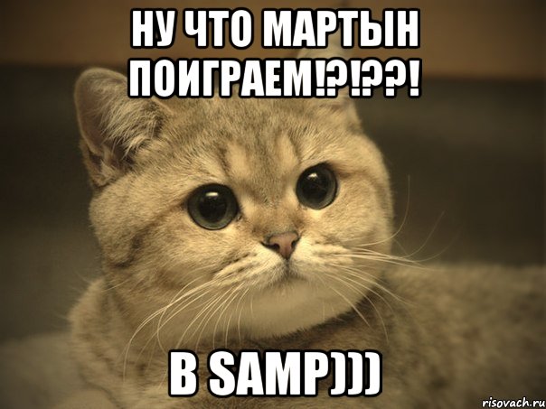 ну что мартын поиграем!?!??! в samp))), Мем Пидрила ебаная котик