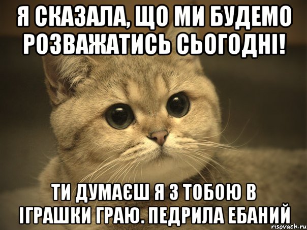 я сказала, що ми будемо розважатись сьогодні! ти думаєш я з тобою в іграшки граю. педрила ебаний, Мем Пидрила ебаная котик