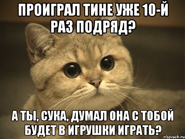 проиграл тине уже 10-й раз подряд? а ты, сука, думал она с тобой будет в игрушки играть?, Мем Пидрила ебаная котик