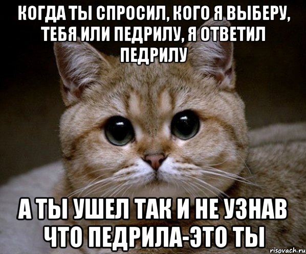 когда ты спросил, кого я выберу, тебя или педрилу, я ответил педрилу а ты ушел так и не узнав что педрила-это ты, Мем Пидрила Ебаная