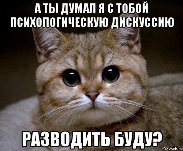 а ты думал я с тобой психологическую дискуссию разводить буду?, Мем Пидрила Ебаная