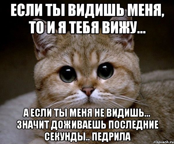 если ты видишь меня, то и я тебя вижу... а если ты меня не видишь... значит доживаешь последние секунды.. педрила, Мем Пидрила Ебаная