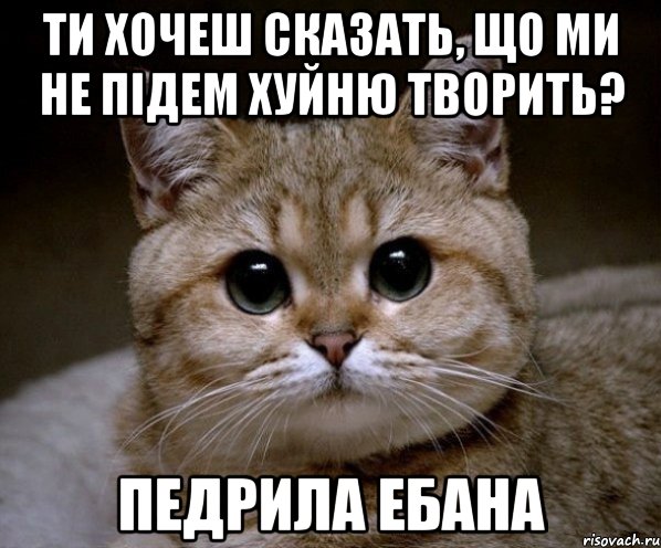 ти хочеш сказать, що ми не підем хуйню творить? педрила ебана, Мем Пидрила Ебаная