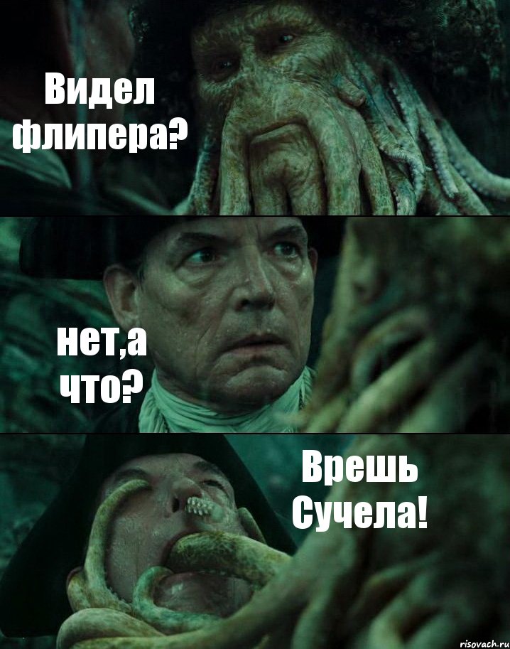 Видел флипера? нет,а что? Врешь Сучела!