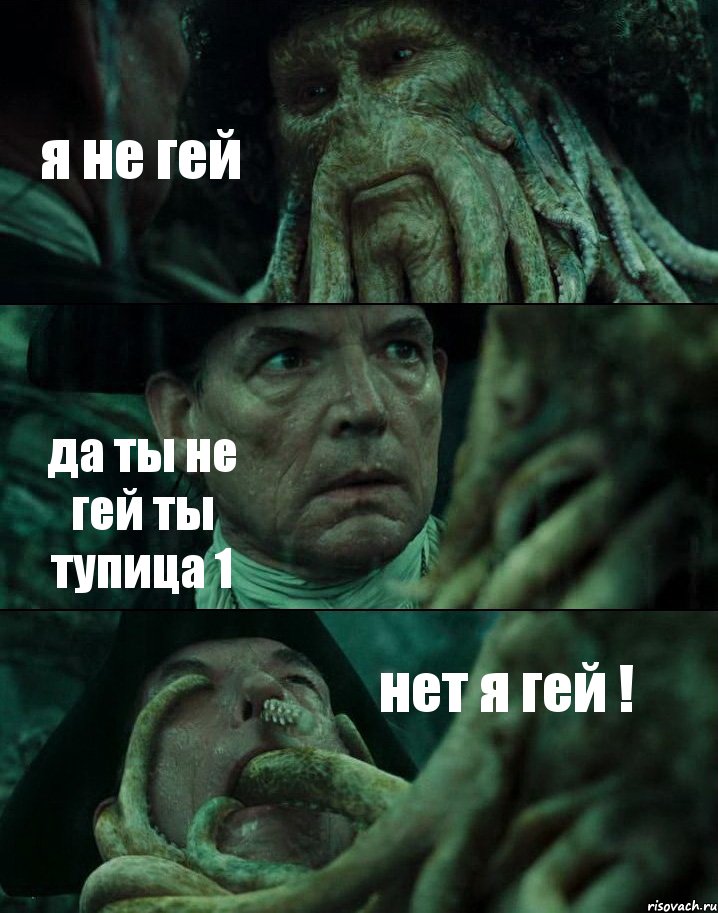 я не гей да ты не гей ты тупица 1 нет я гей !