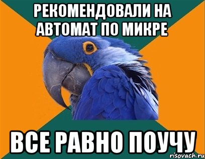 рекомендовали на автомат по микре все равно поучу, Мем Попугай параноик