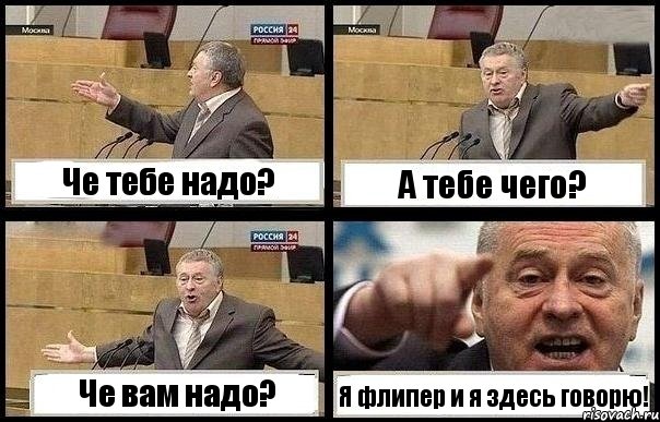 Че тебе надо? А тебе чего? Че вам надо? Я флипер и я здесь говорю!