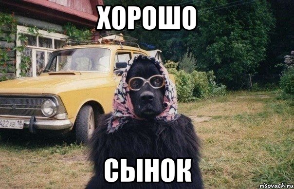 хорошо сынок