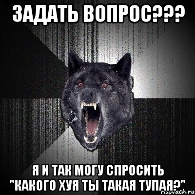 задать вопрос??? я и так могу спросить "какого хуя ты такая тупая?", Мем Сумасшедший волк