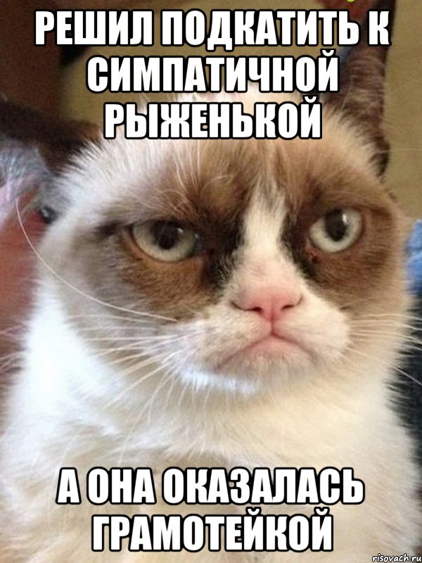 решил подкатить к симпатичной рыженькой а она оказалась грамотейкой, Мем Грустный (сварливый) кот