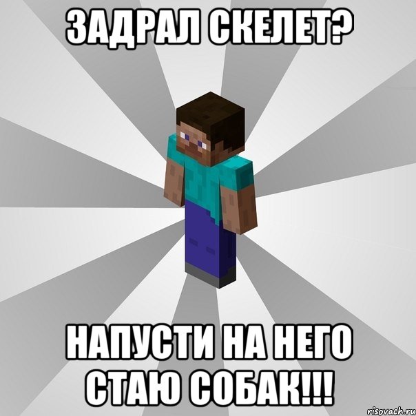 задрал скелет? напусти на него стаю собак!!!, Мем Типичный игрок Minecraft