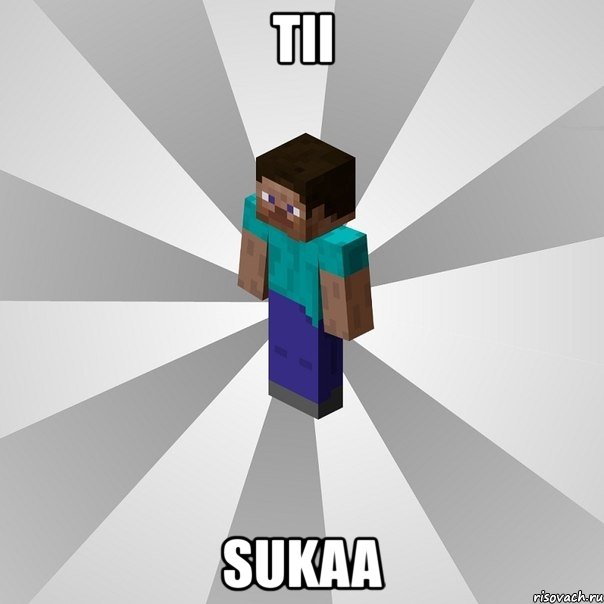 tii sukaa, Мем Типичный игрок Minecraft