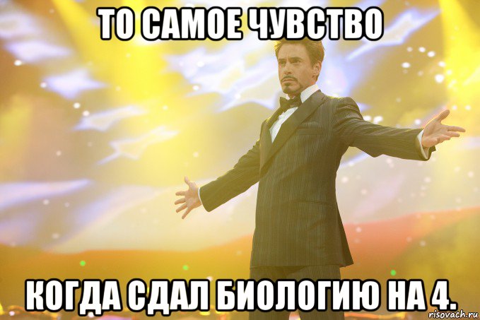 то самое чувство когда сдал биологию на 4., Мем Тони Старк (Роберт Дауни младший)