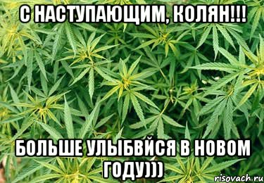 с наступающим, колян!!! больше улыбвйся в новом году))), Мем трава