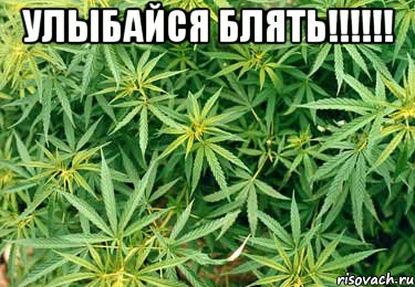 улыбайся блять!!! 