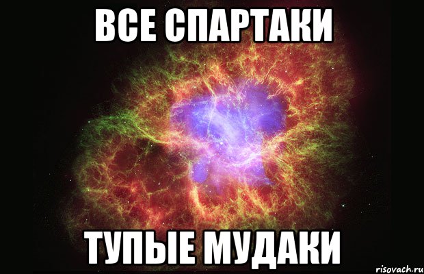 все спартаки тупые мудаки