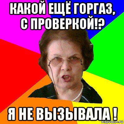 какой ещё горгаз, с проверкой!? я не вызывала !, Мем Типичная училка