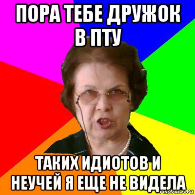 пора тебе дружок в пту таких идиотов и неучей я еще не видела, Мем Типичная училка