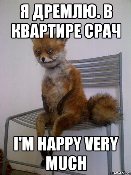 я дремлю. в квартире срач i'm happy very much, Мем Упоротая лиса